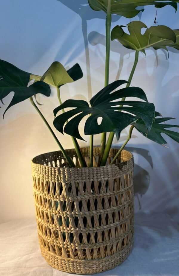 Kouna Planter with green plants for interior design and decoration